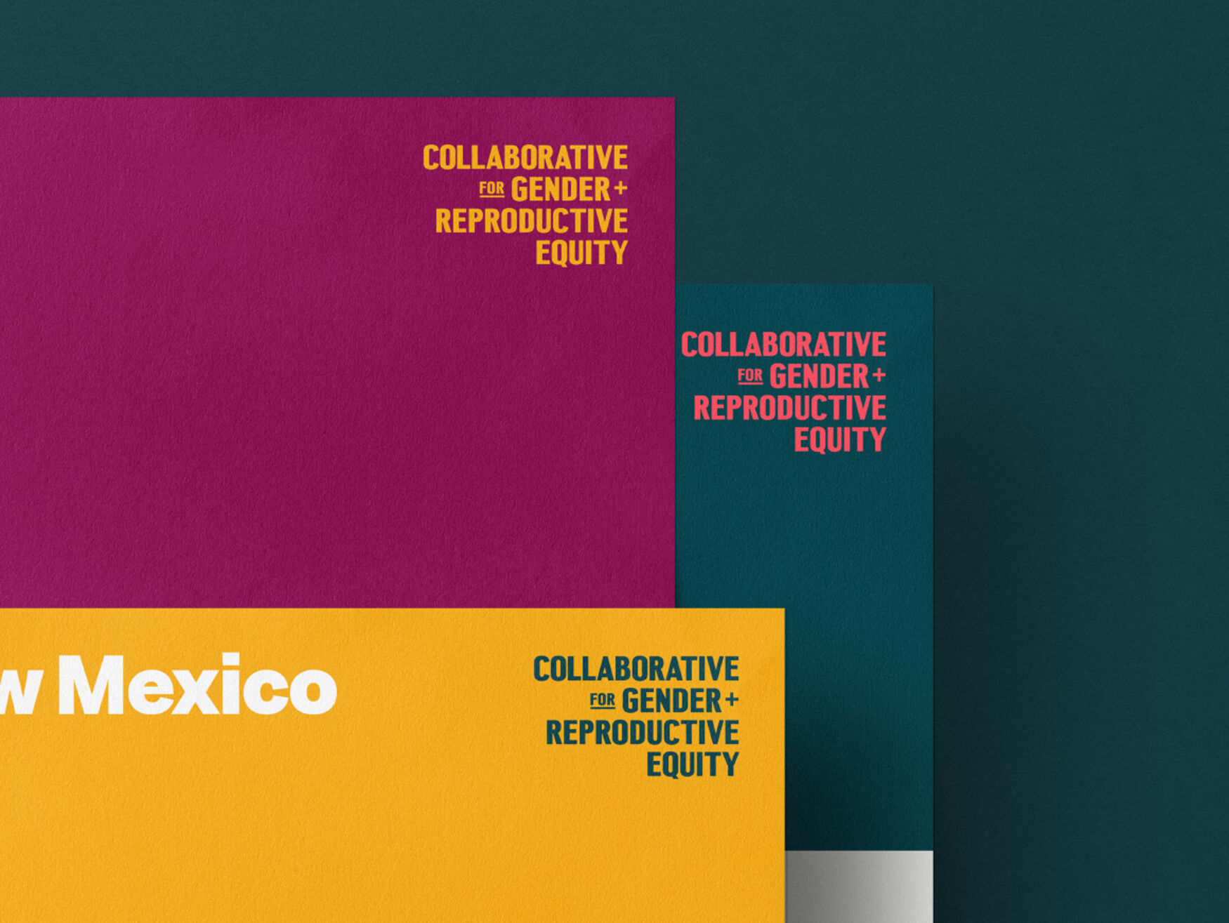 Rockefeller Philanthropy Advisors | Gender + Reproductive Equity