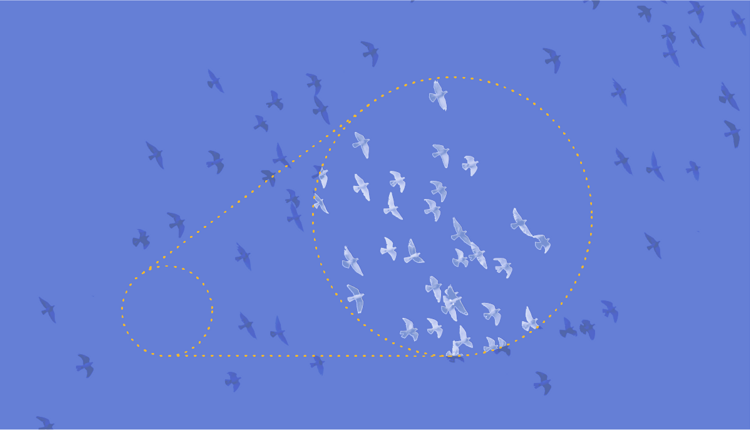 21 07 Elaine Ideas Post TB1